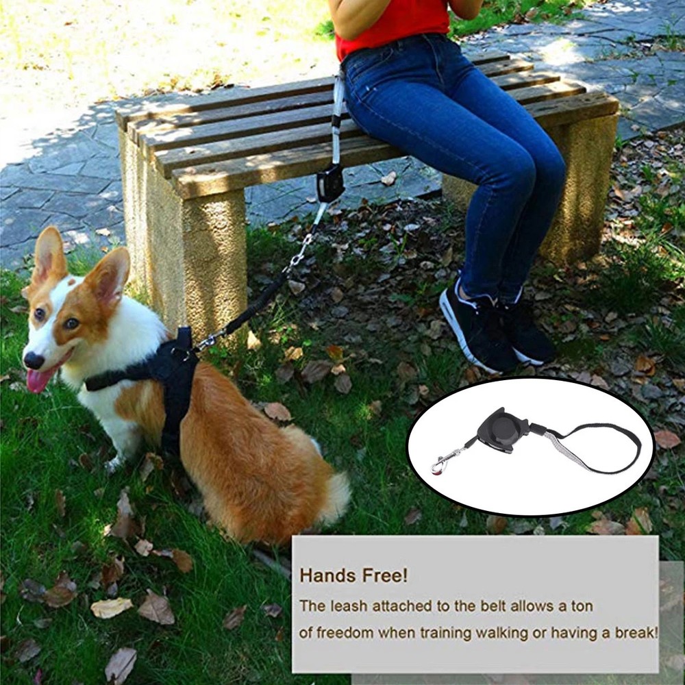 Automatic Retractable Dog Leash Pet Training Lead Long Telescopic Rope Durable