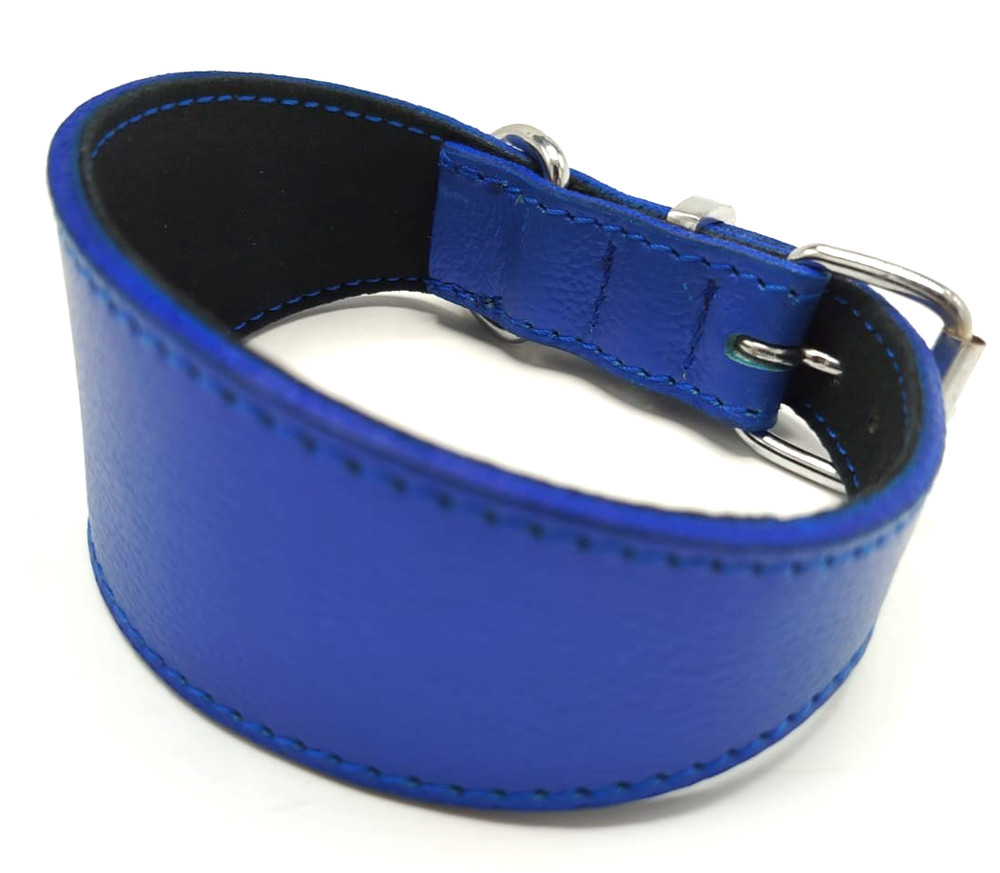 Dog Collars - Original Leather - Comfortable Inner - Blue