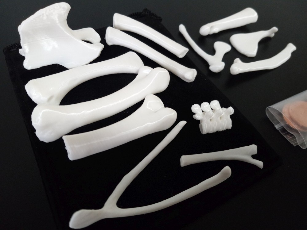 Bone Throwing/Casting Complete 13 Bone Set – White, voodoo hoodoo osteomancy