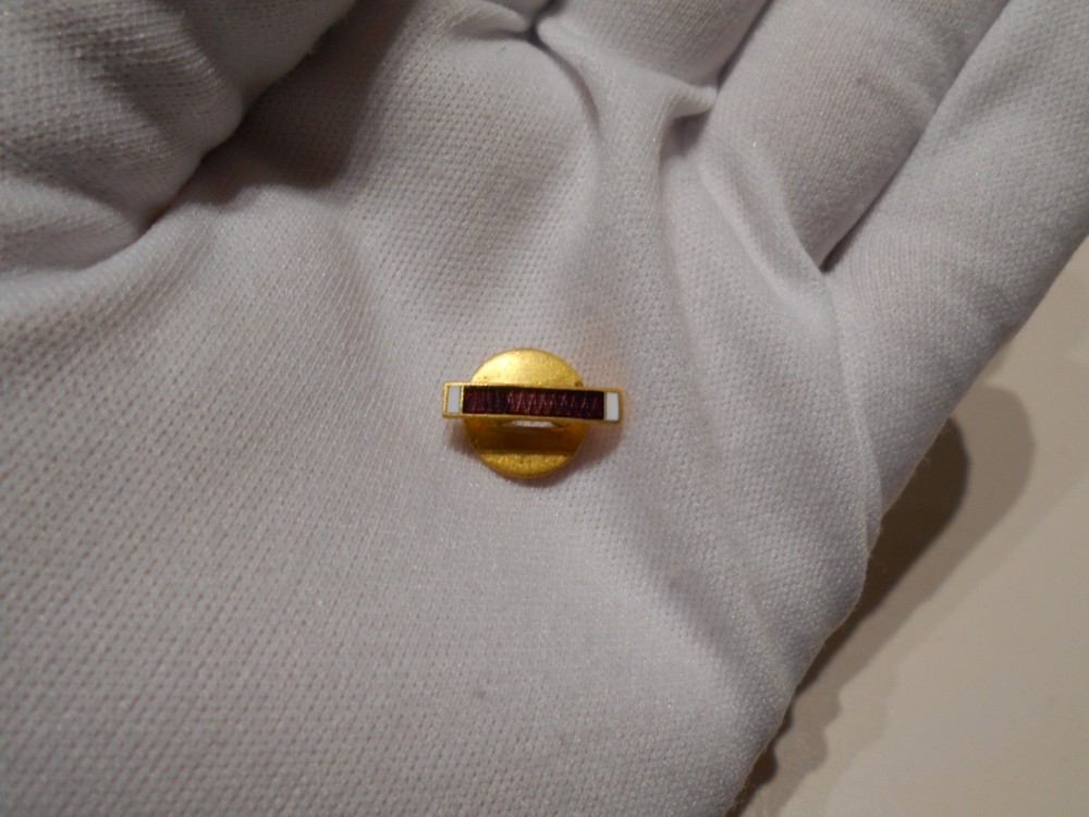 Original & Authentic WWII ~ PH ~ Lapel device ~ Fire enamel make.