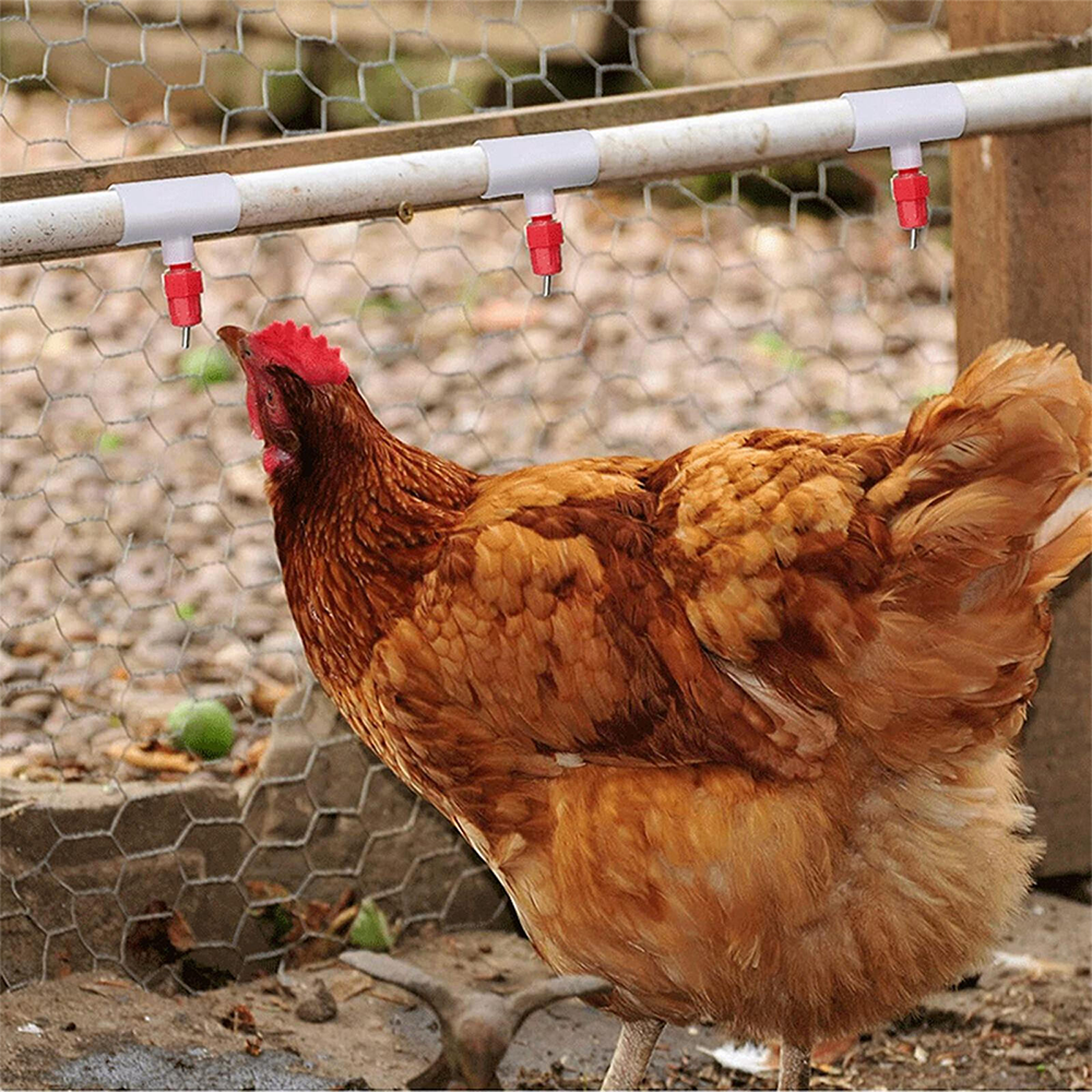 （10pcs） three-way Connector For Chicken Waterer Fully Automatic
