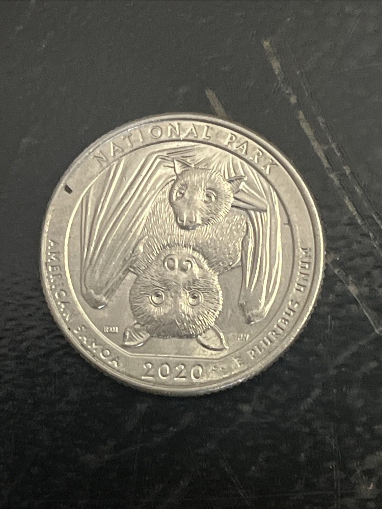 2020 RARE! BAT Quarter ￼