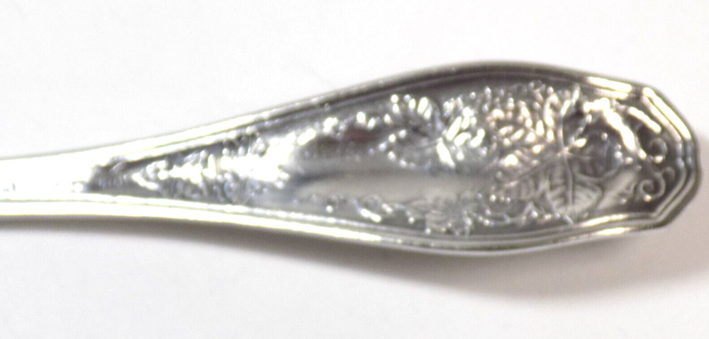 Wm Roger & Son AA Antique Sugar Nutshell Grape Pattern Silverplated Spoon