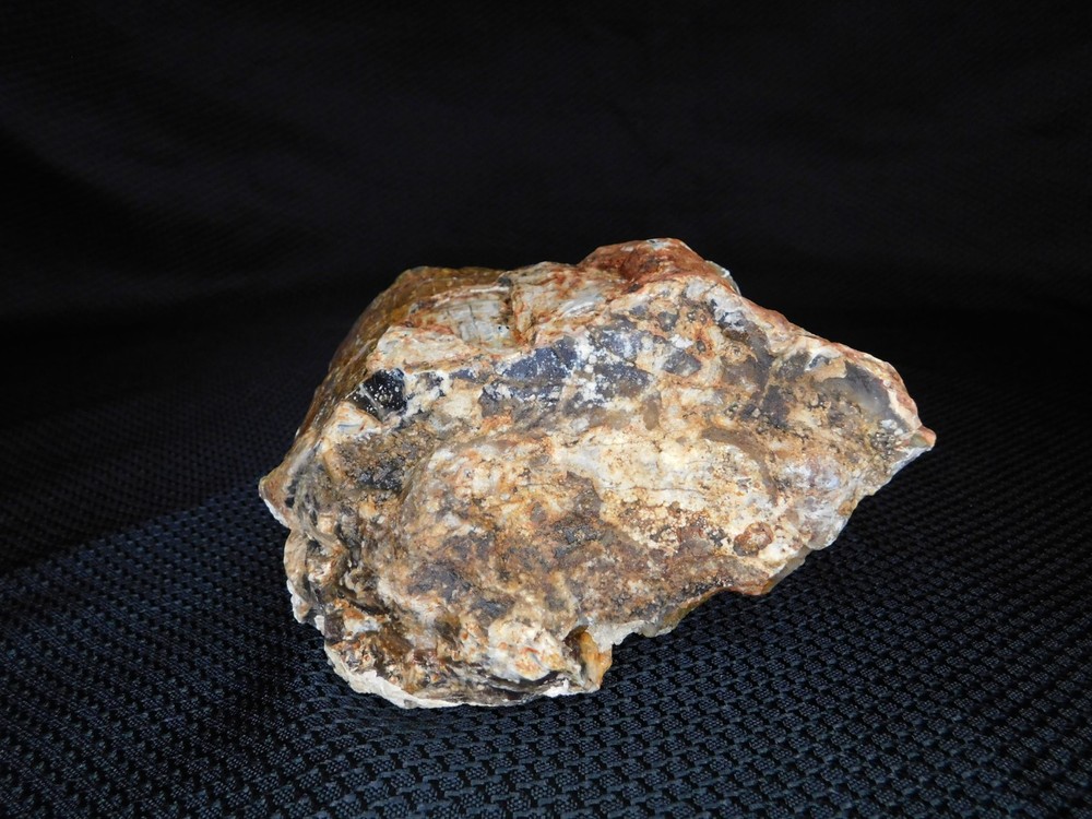 Translucent Agatized and Opalized Limb Cast Central WA Vintage 2 lbs. 14oz