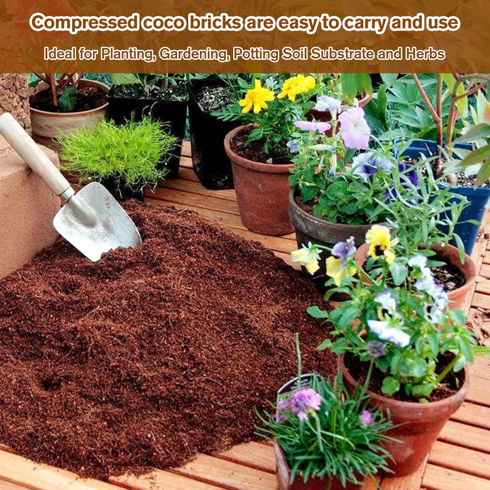 Pack of 10 Organic Coco Coir Bricks- 100% Natural Compressed Coco Peat Brick ...