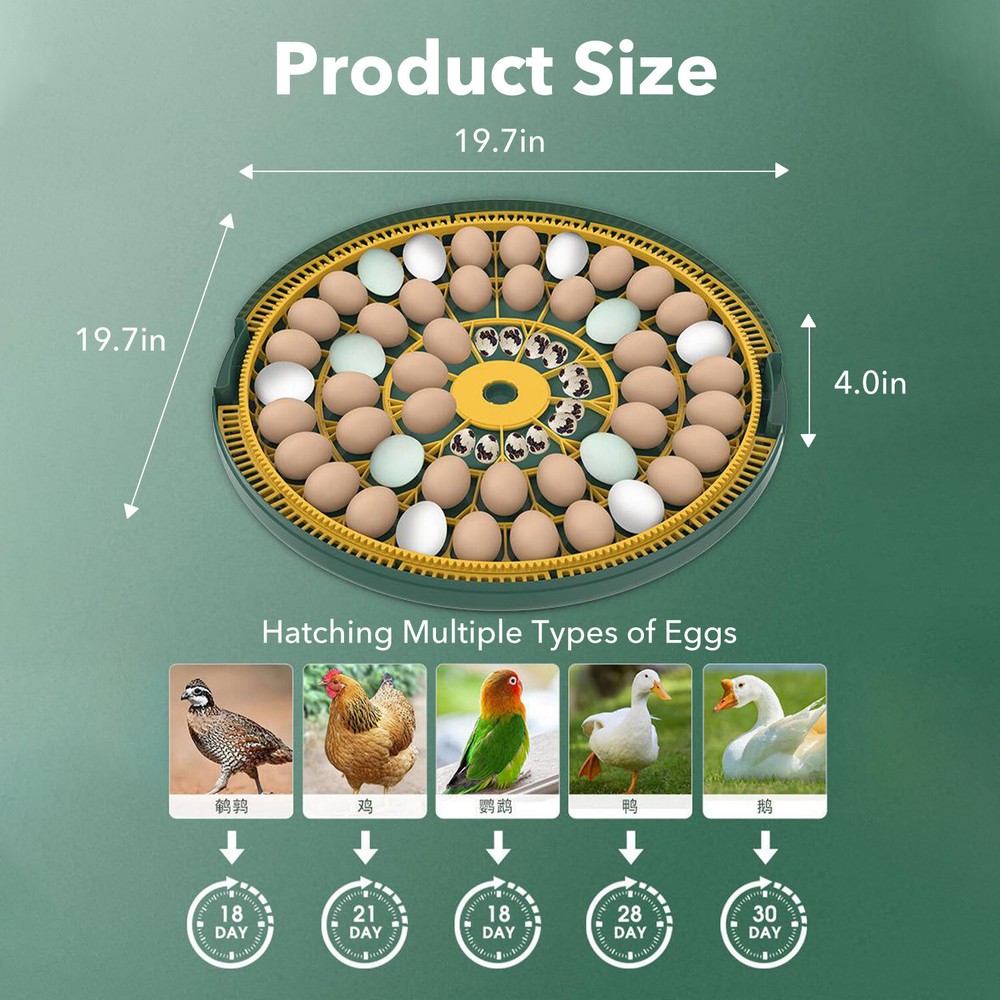 HBN 52 Egg Incubator with Automatic Egg Turning & Temperature Humidity Control