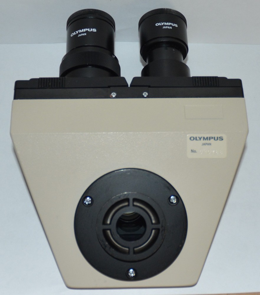 Olympus BH-2 Binocular Head for Microscope Fixed BH2 w/Eyepieces
