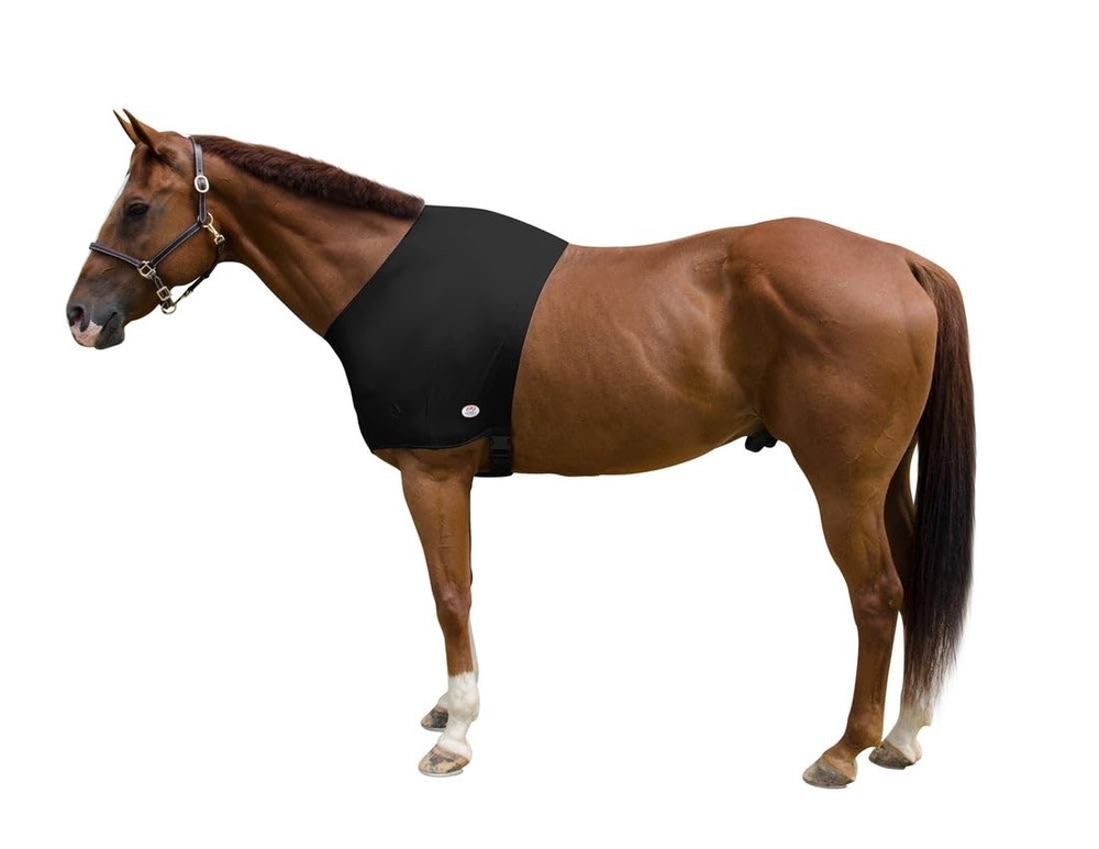 Lycra Sleazy Horse Shoulder Guard