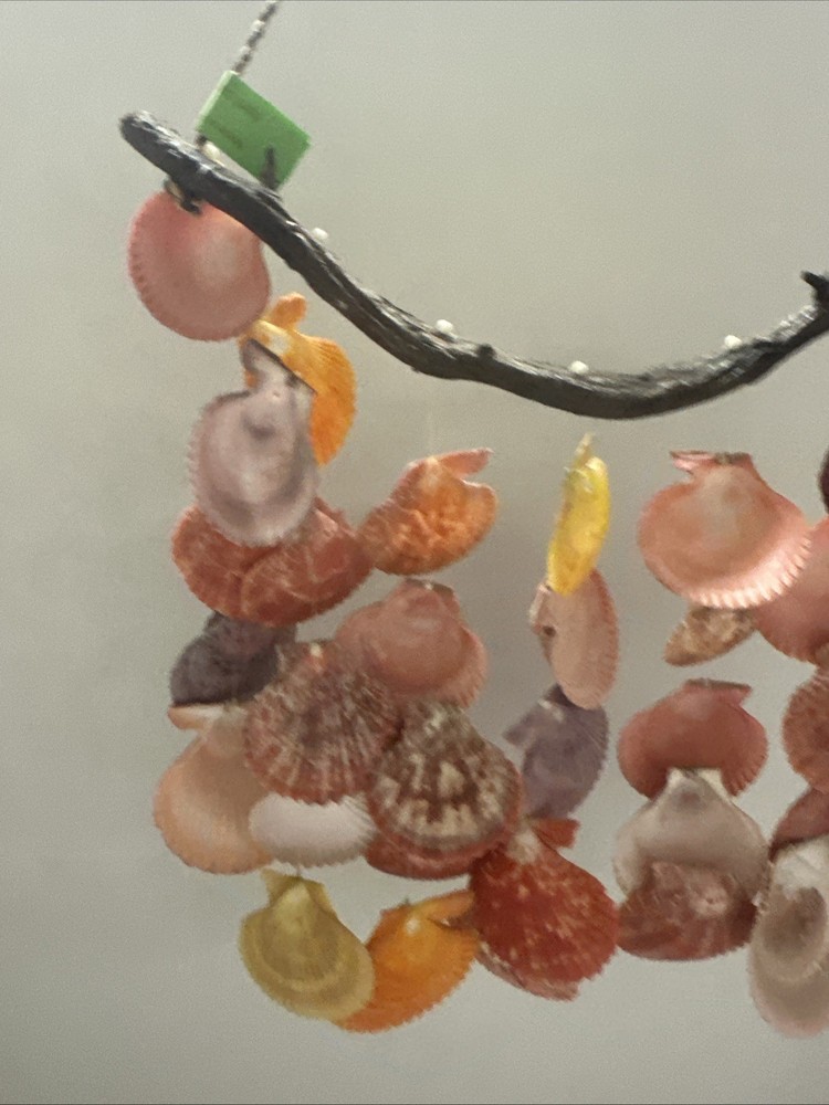 Beautiful Shell Windchime Decoration Support Stick Is 12 Wide 11 Long