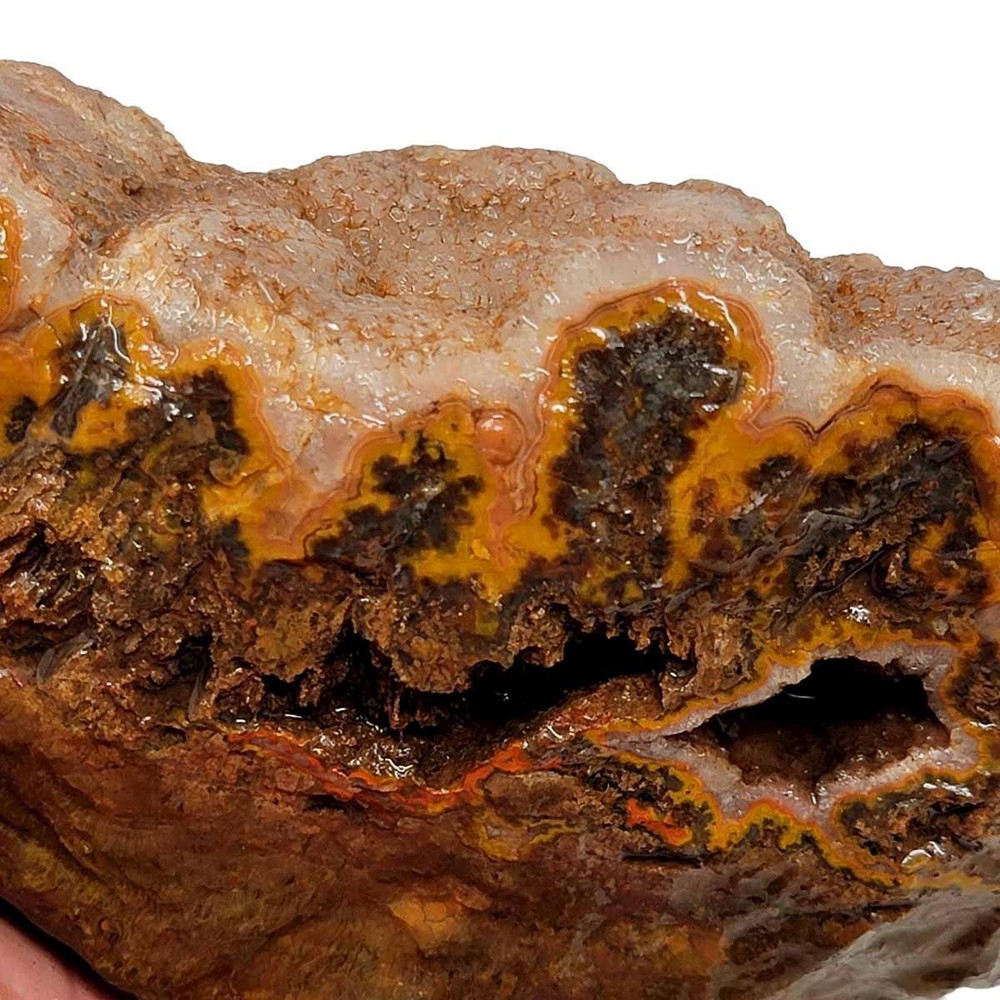 Moroccan Plume Agate Rough Chunk!