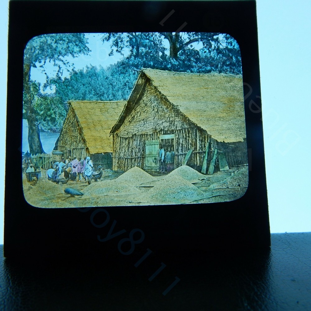 West africa colonial river scene natives measuring ground nutsmagic lantern