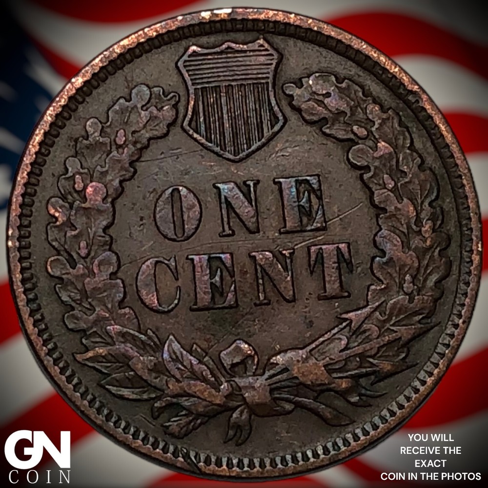 1901 Indian Head Cent Penny M6171