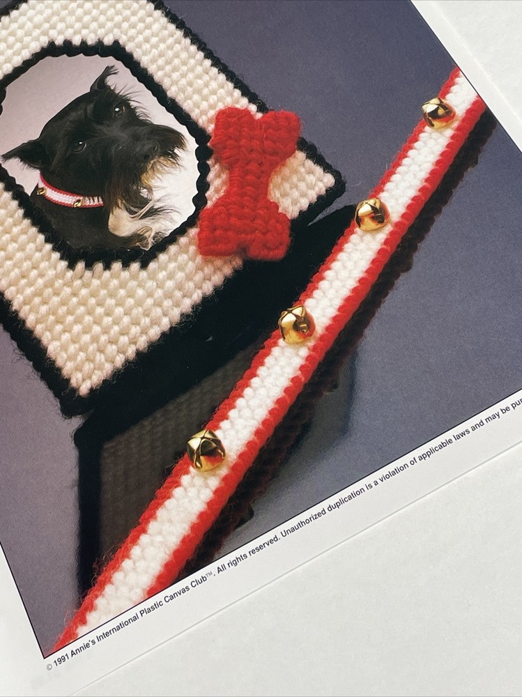Pet Collar & Frame Annie's Plastic Canvas Pattern
