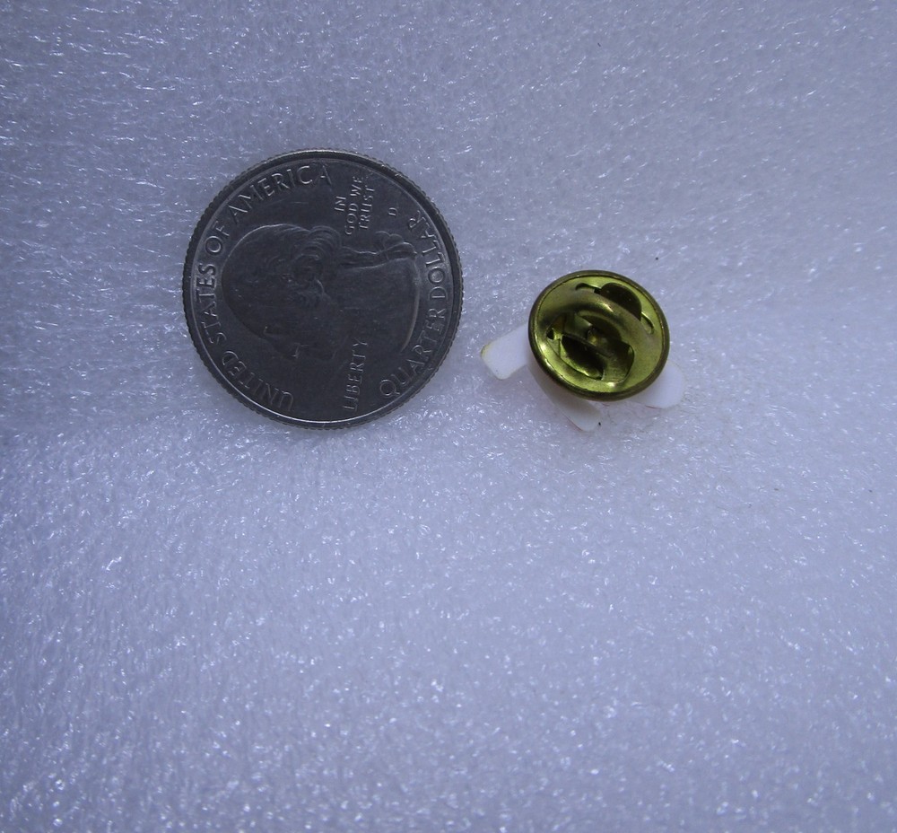 Vote Political Plastic Pin