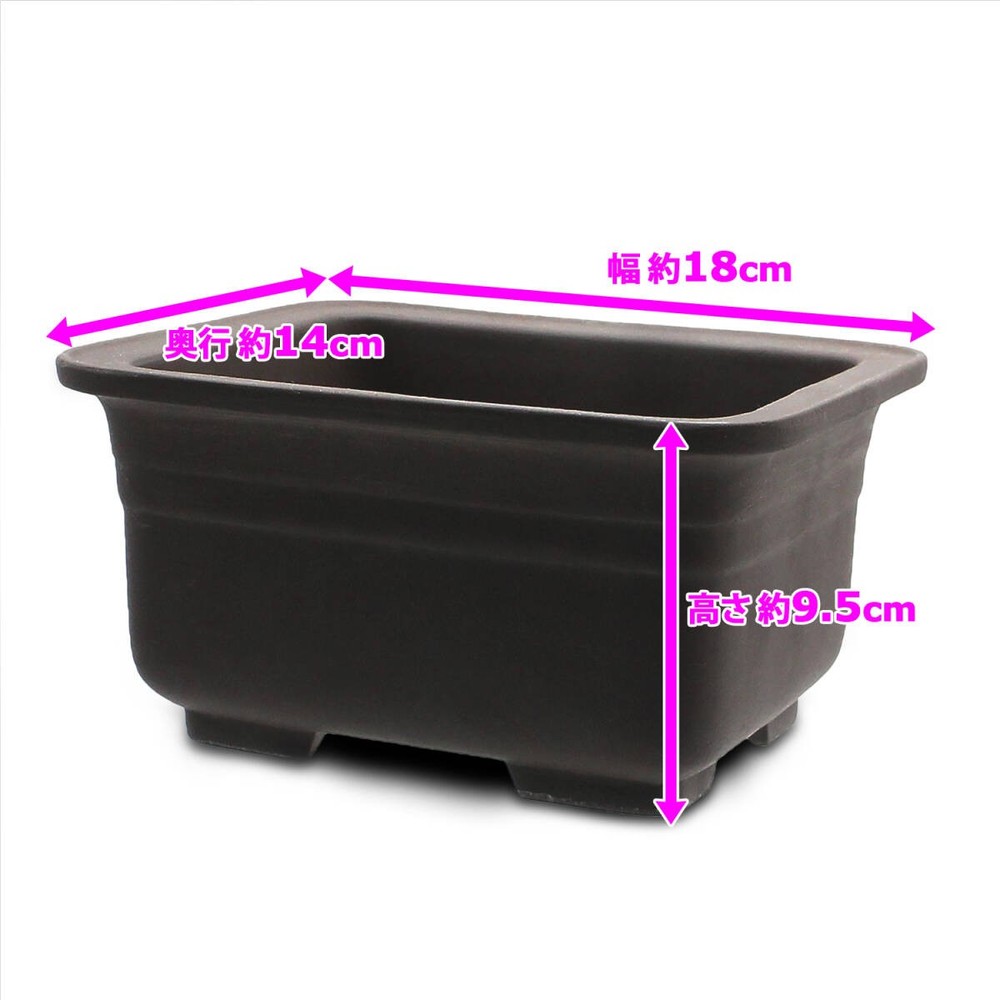 Japanese Bonsai Pot 18cm Rectangular Deep Unglazed Brown Seto Ware