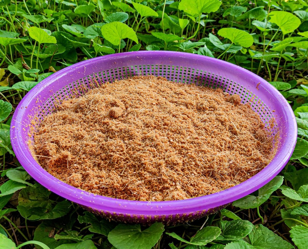 Coco coir peat powder coconut soil Enhancer Amendment organic Hydroponic Growing