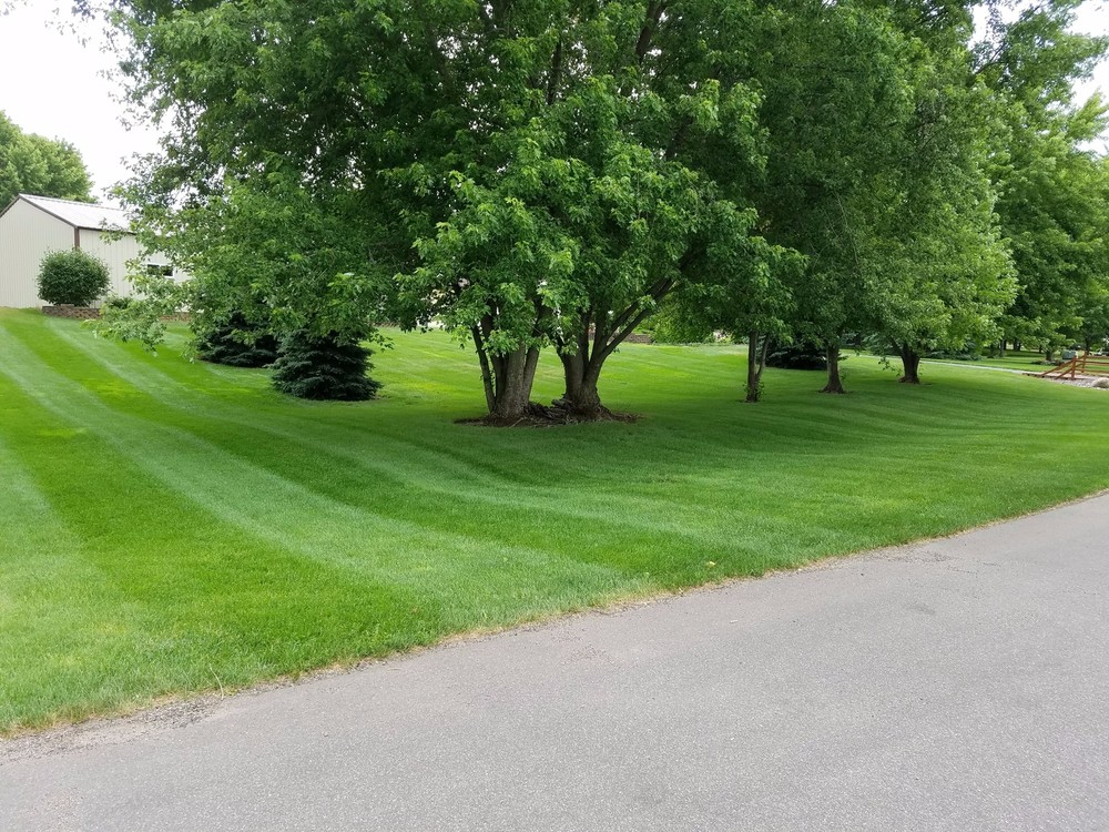 Lawn Striper Roller Kit for Hustler FasTrak with 60" mower deck year 2017
