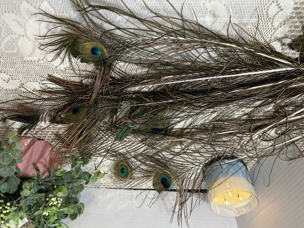 12 peacock feathers