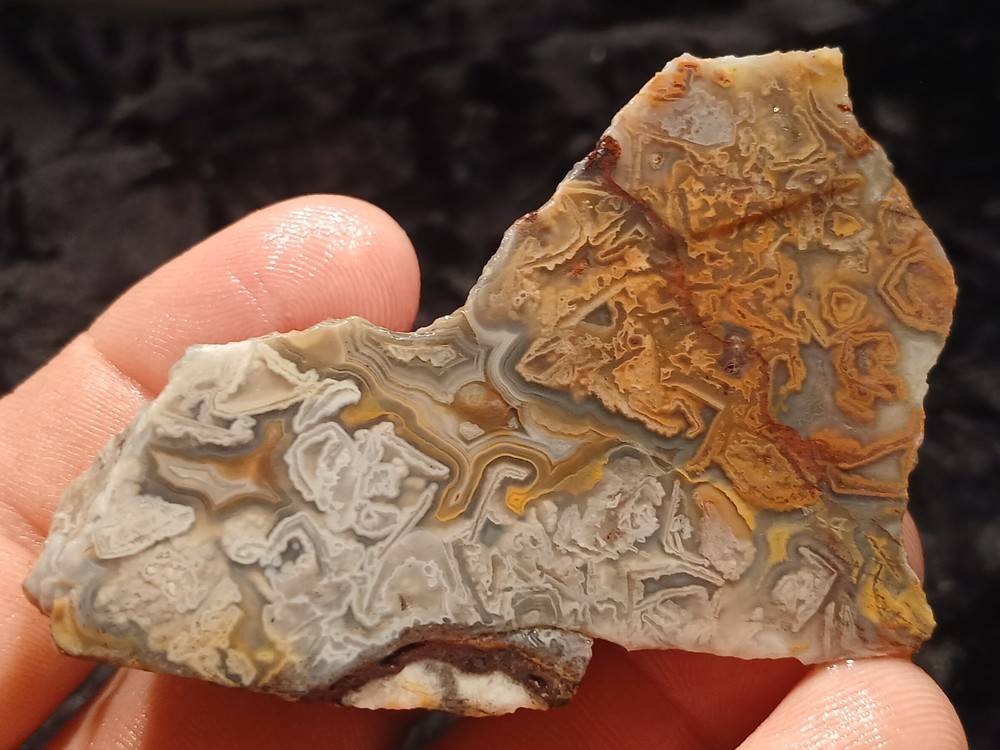 Laguna Lace Agate Rough End