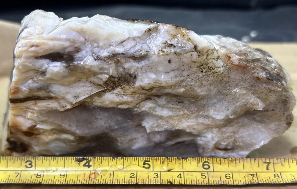 Silver Creek Junction optimized petrified wood