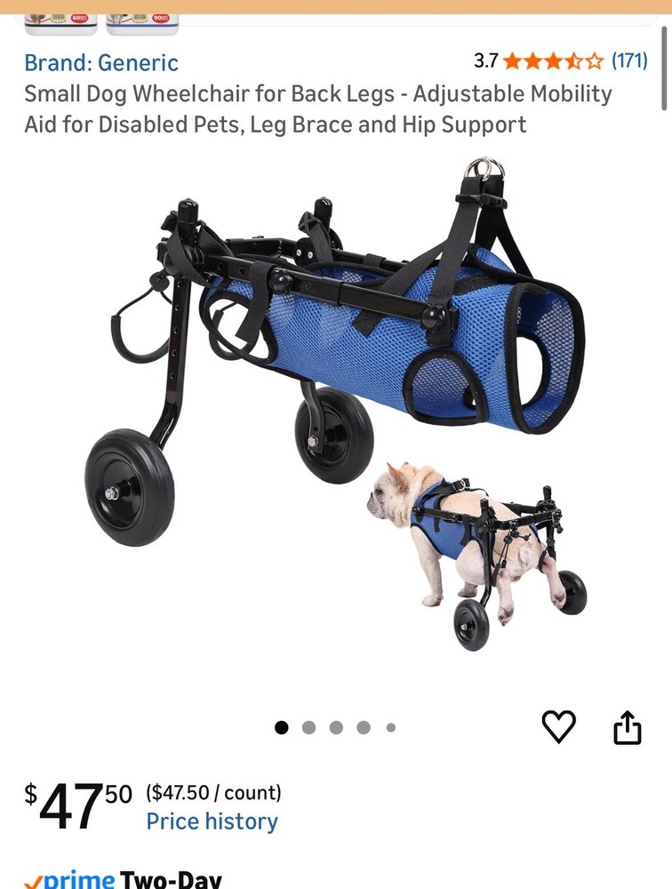 Medium Dog Wheelchair NEW Blue
