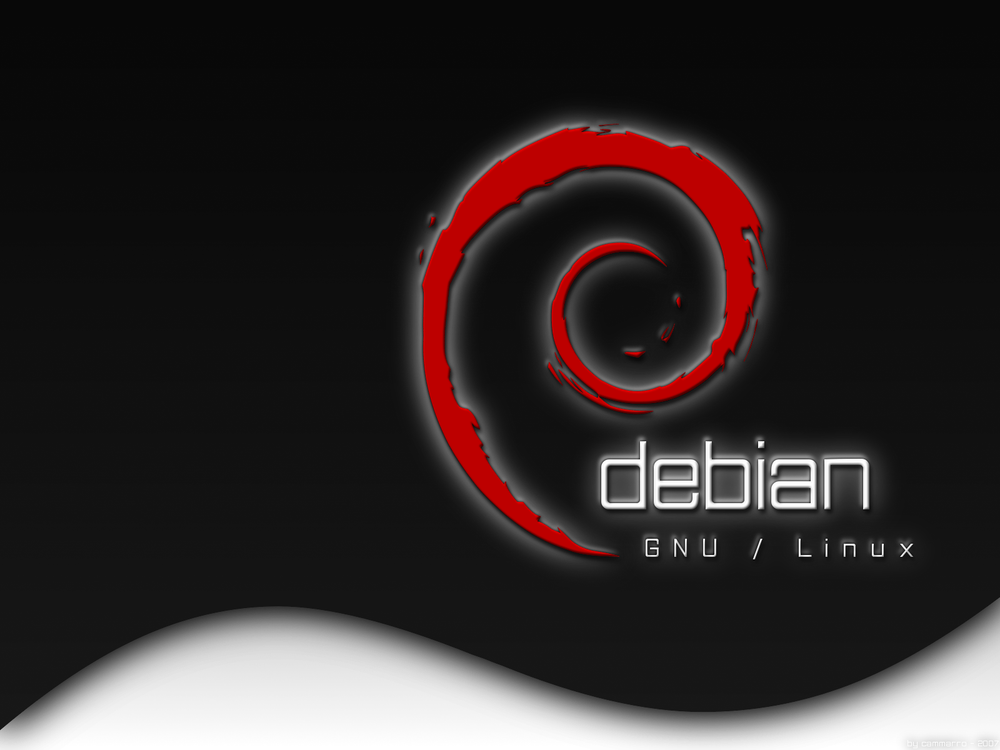 Debian 12.8 "Bookworm" Live Linux Install DVD - Jan 2025 Newest version 64-bit