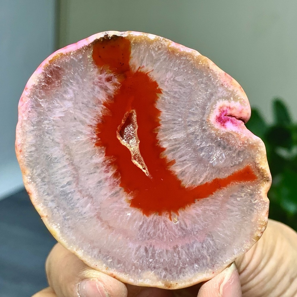 42G Natural Beautiful Agate Geode Druzy Slice Extra Large Gemstone