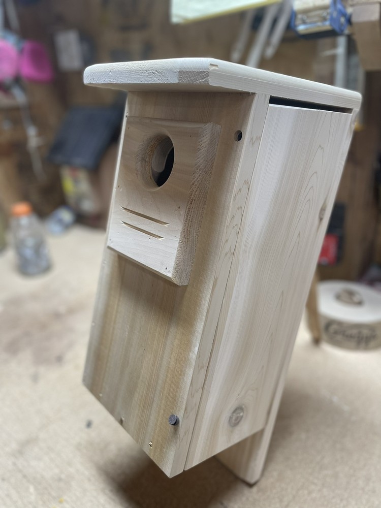 2 pack Red bellied woodpecker nest boxes (white cedar)