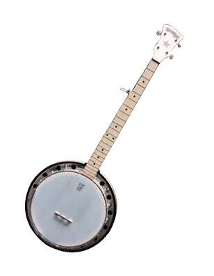 Deering Goodtime 2 5-String Banjo