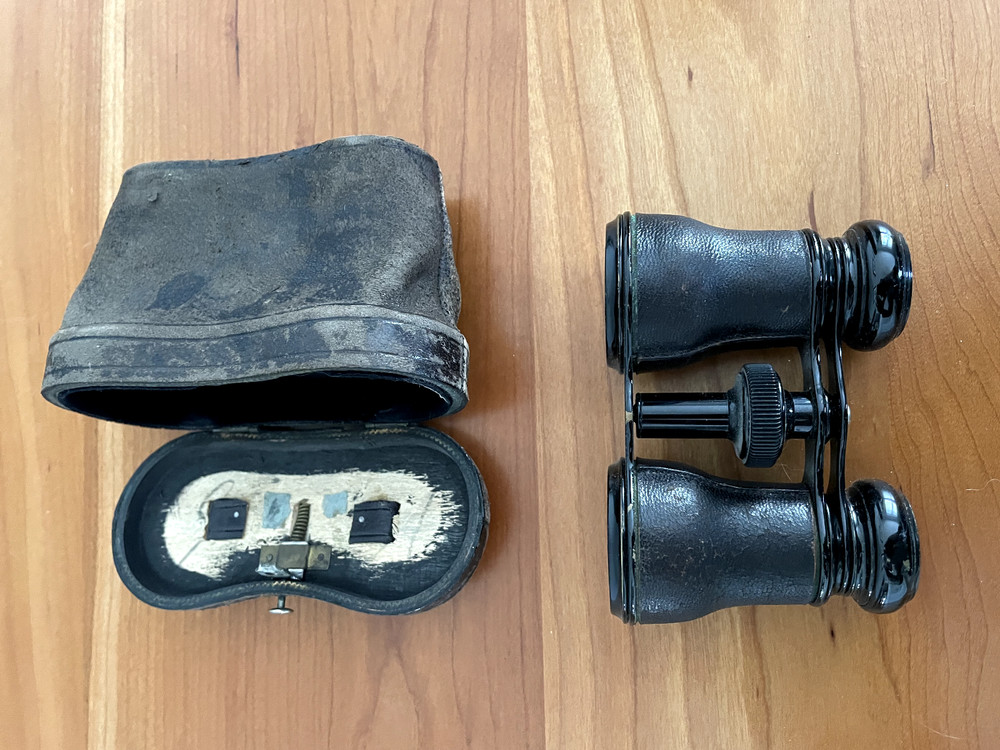 Vintage binocular opera glasses in leather case