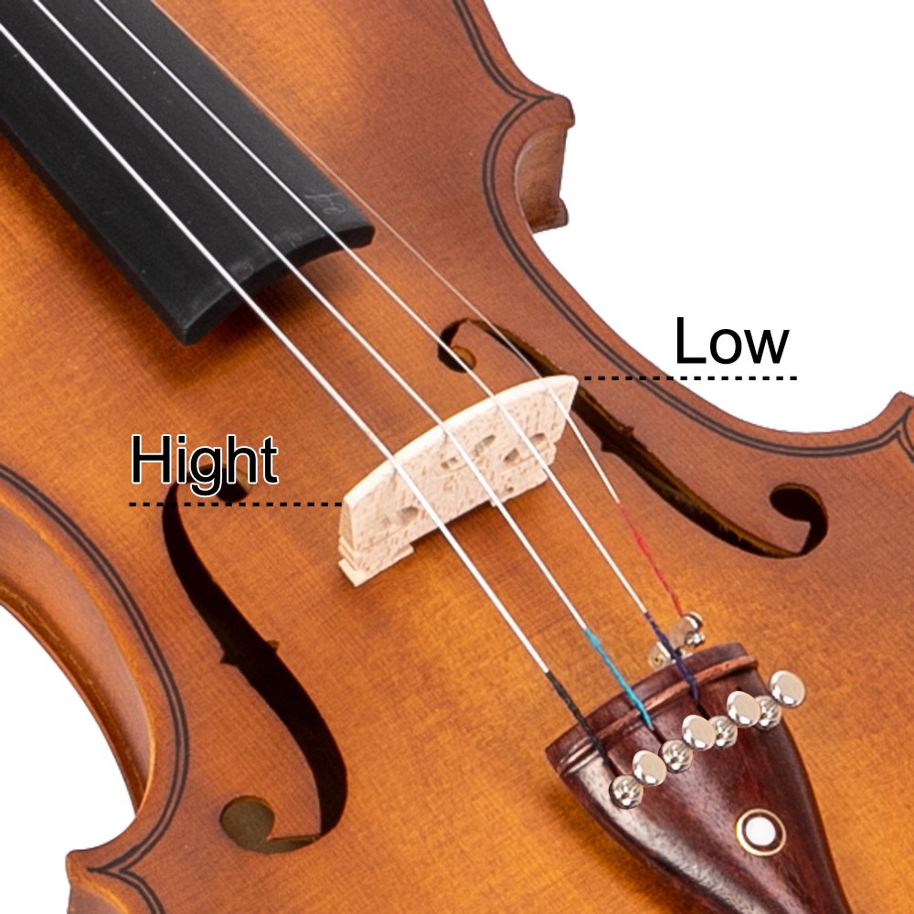 4/4 Spruce Violin Set, Matte Natural, with Case & Accessories