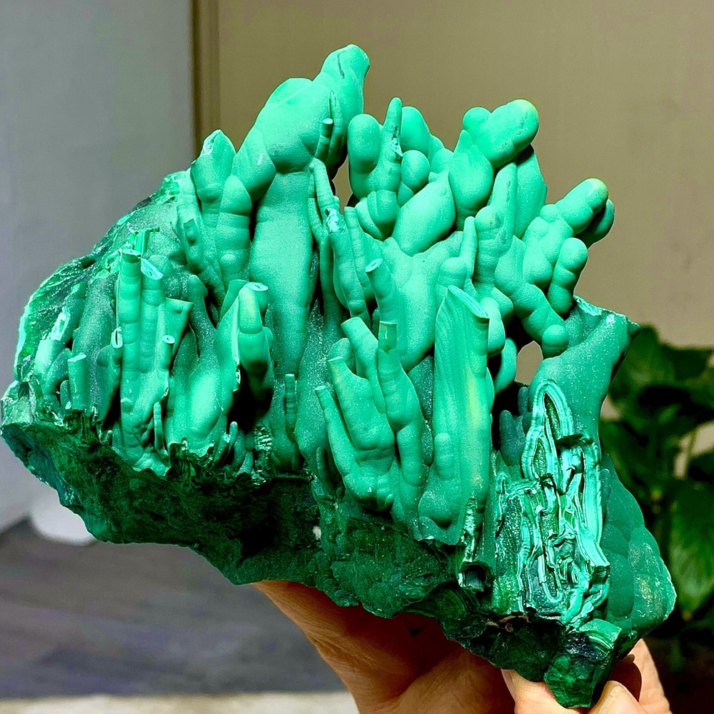 3LB Natural Columnar Malachite transparent cluster rough mineral sample