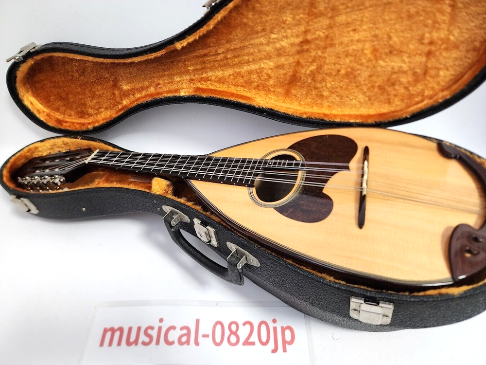 Suzuki Mandolin M-30 violin String Wood Instrument