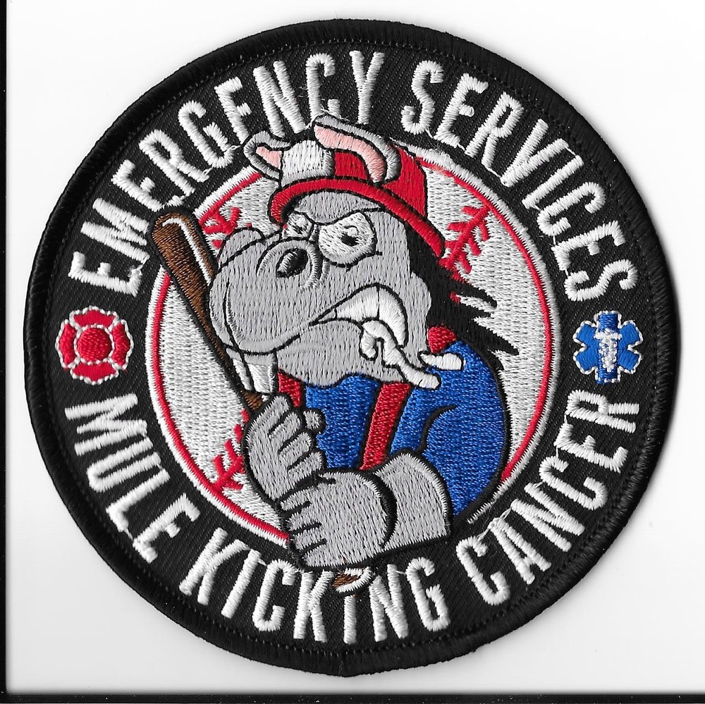 Oshawa Fire Emergency Services Ontario, Canada Shoulder Patch V1
