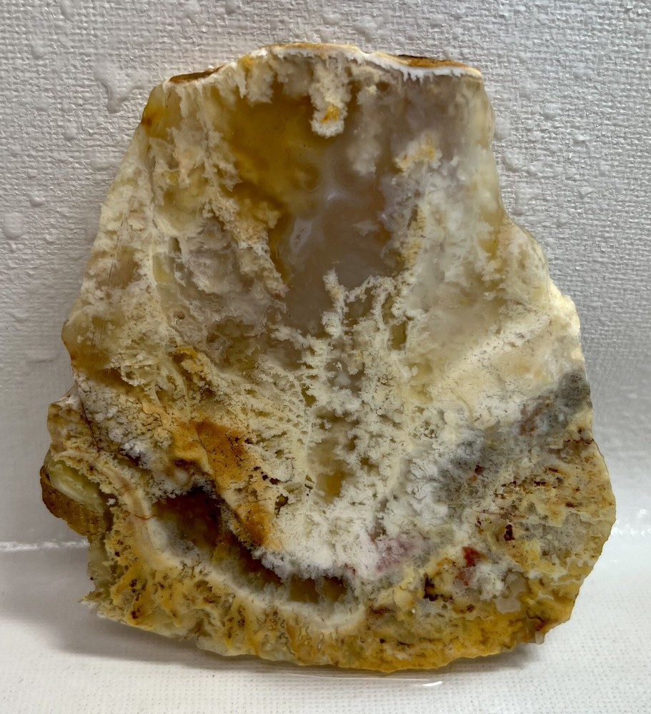 Graveyard Point Plume Agate 87gm Gem Lapidary Slab