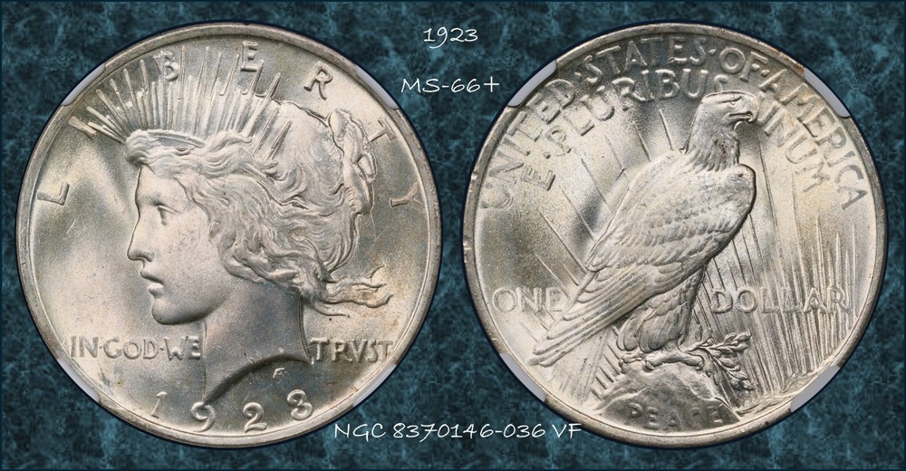 1923 Peace Dollar MS-66+ NGC VIDEO