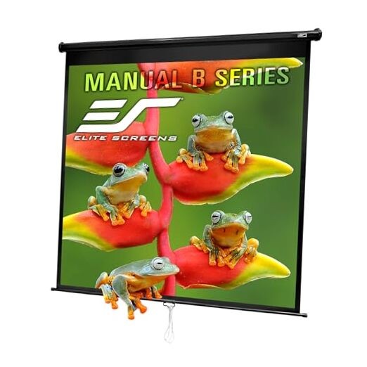 Manual B 125-INCH Manual Pull Down 125 INCH Projector Screen Black Case 1:1