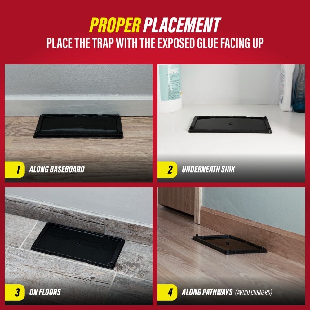Catchmaster Rat, Mouse & Insect Glue Traps