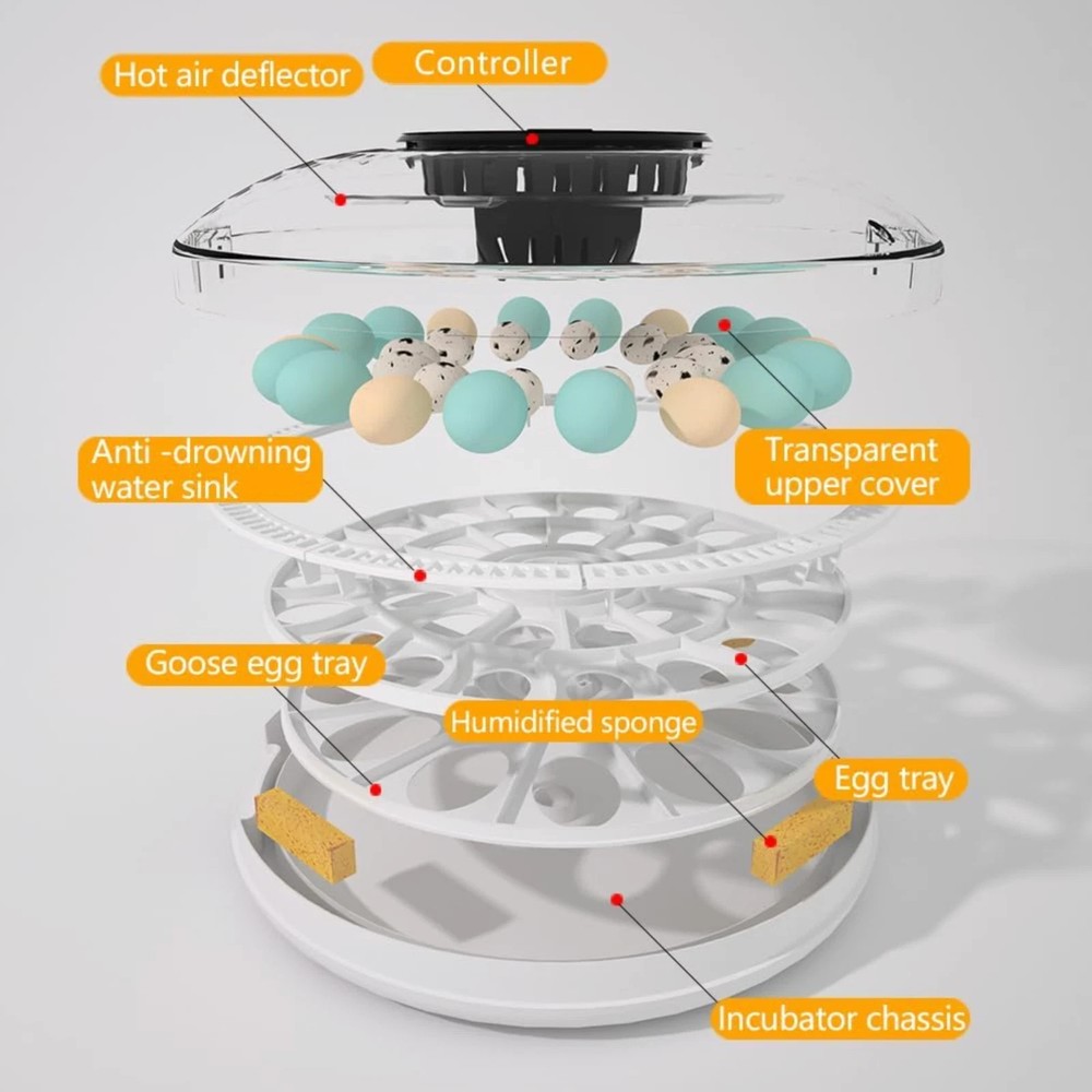 MeeF incubators for Hatching Eggs Automatic 30 Eggs Incubator with Tur