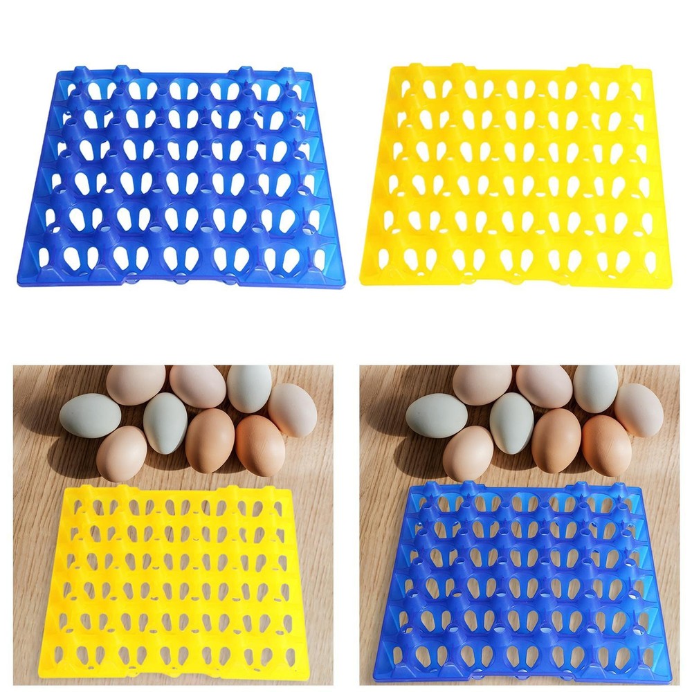 30 Lattice Eggs Tray Long Distance Transport Breathable Stackable Egg Flats