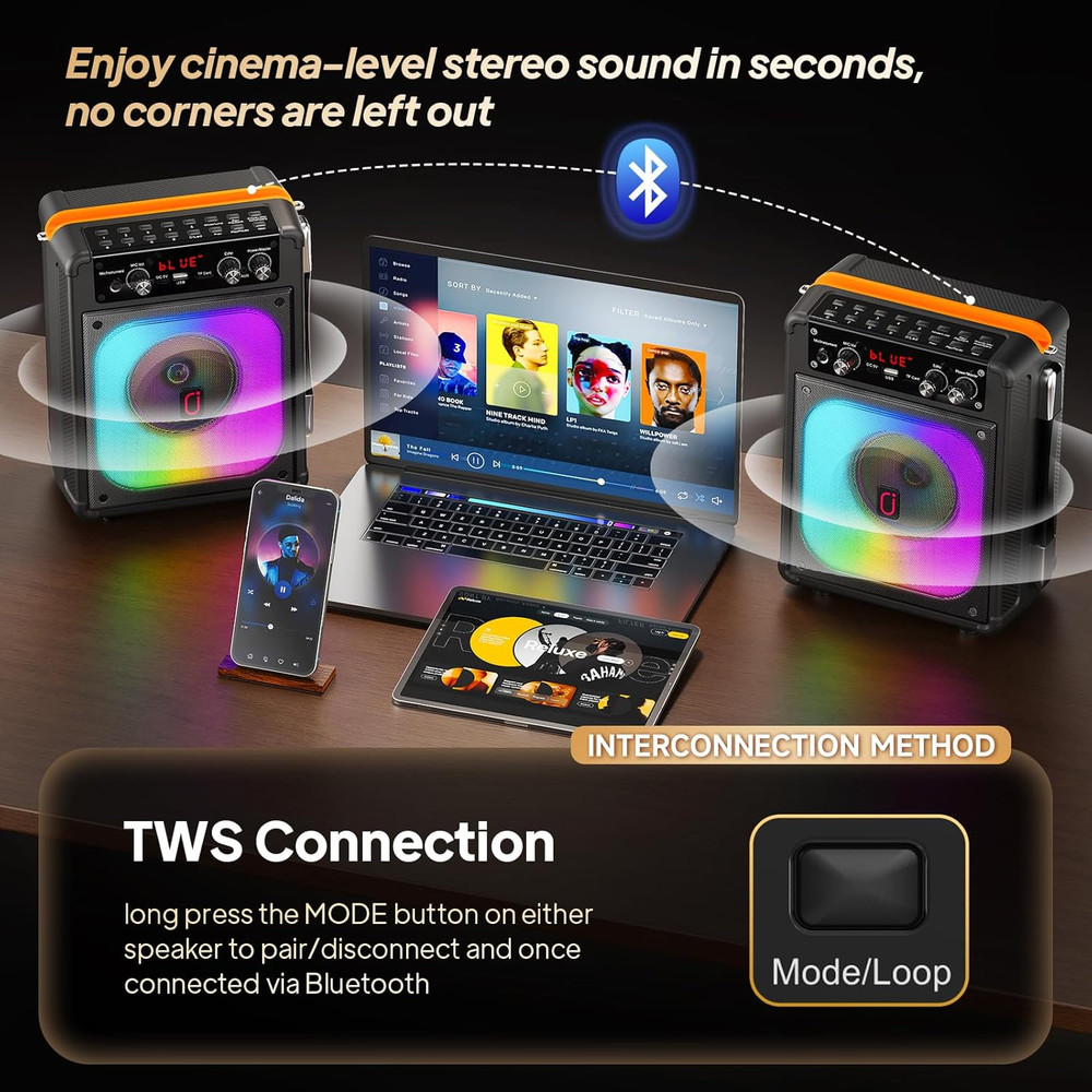 Karaoke Machine, Portable Bluetooth Speaker with 2 Wireless Microphones for Adul
