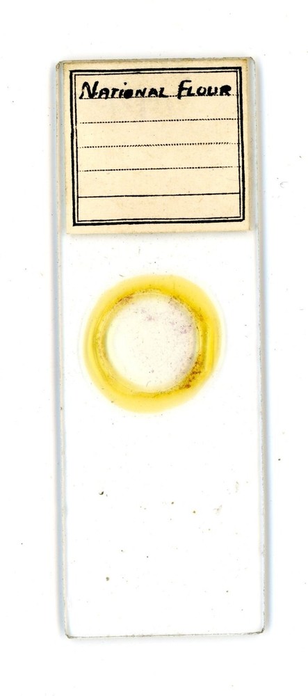 Vintage glass Microscope slide National Flour #100