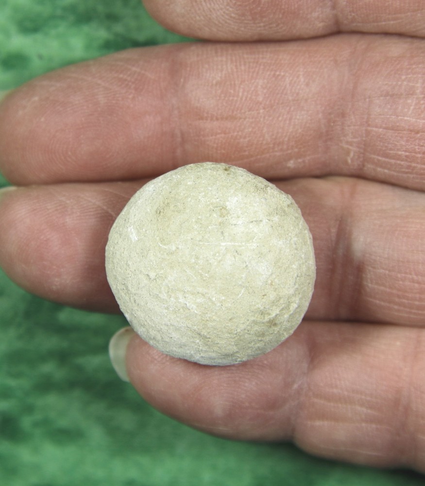 Stylemys nebrascensis - Nice Tortoise Egg