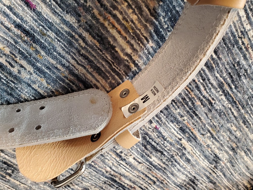 Padded Weightlifting Belt Medium