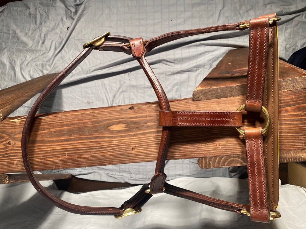 Presentation Leather Halter For Horse Size!