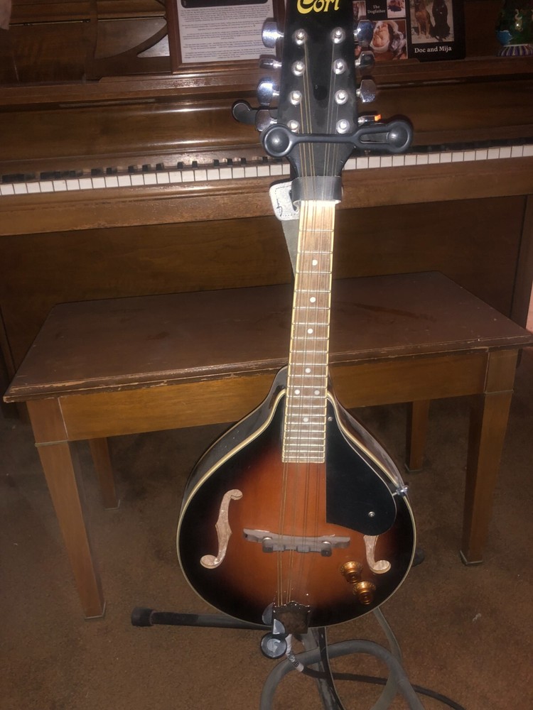 Acoustic Electric Mandolin