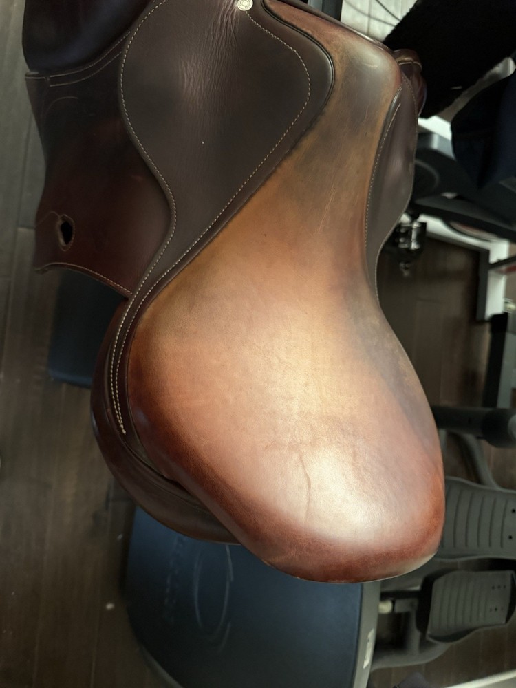 Antares Connection Jump Saddle 17.5”