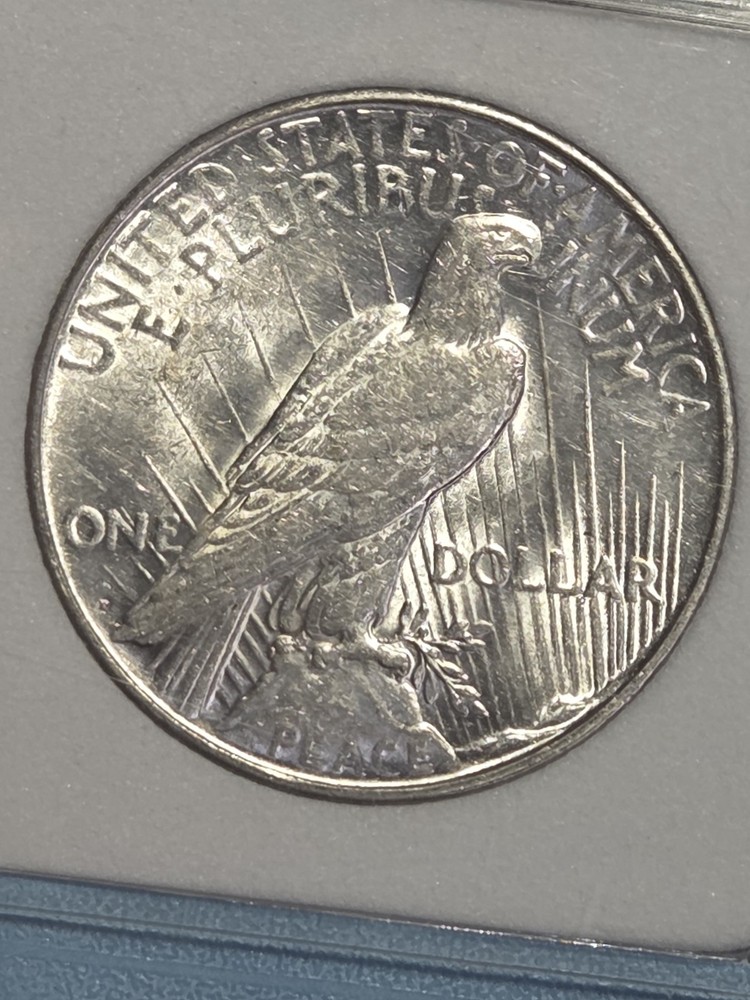 1923D $1 Peace Dollar National Numismatic Certification Toned