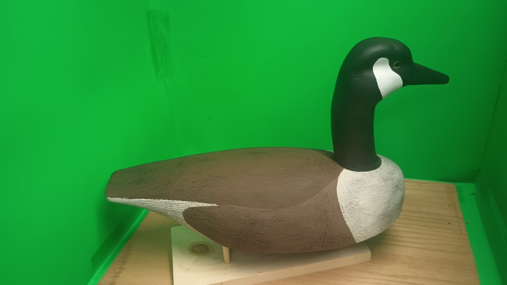 Canadian Goose Rigged Decoy/ Solid Wood