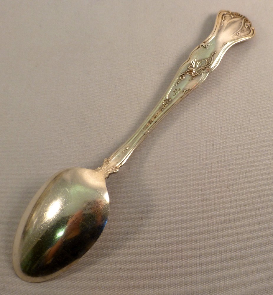 Vintage (Grape)-Roger Bros Silverplate Teasoon(s)-6"